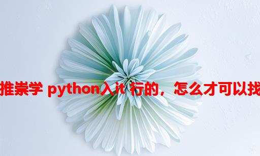 博客上这么多推崇学 Python入IT 行的，怎么才可以找到理想的工作